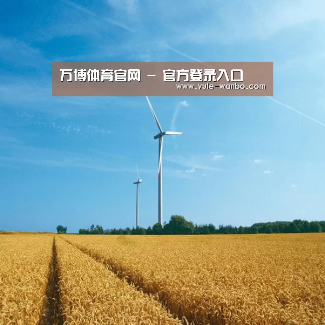 风能