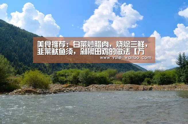 美食推荐:白菜炒腊肉,烧烩三鲜,韭菜鱿鱼须,剁椒田鸡的做法【万博体育登录】(图3) 万博体育登录
