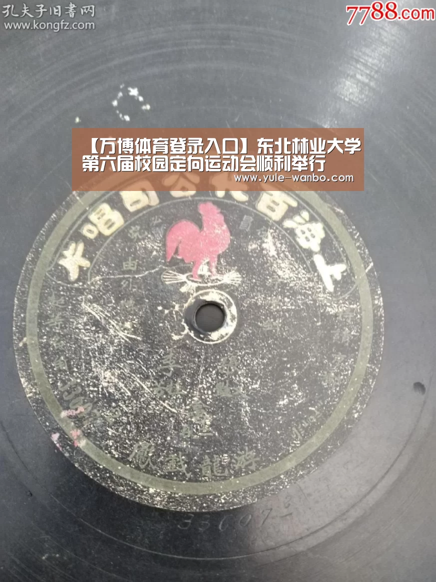 【万博体育登录入口】东北林业大学第六届校园定向运动会顺利举行(图1) 万博体育官网